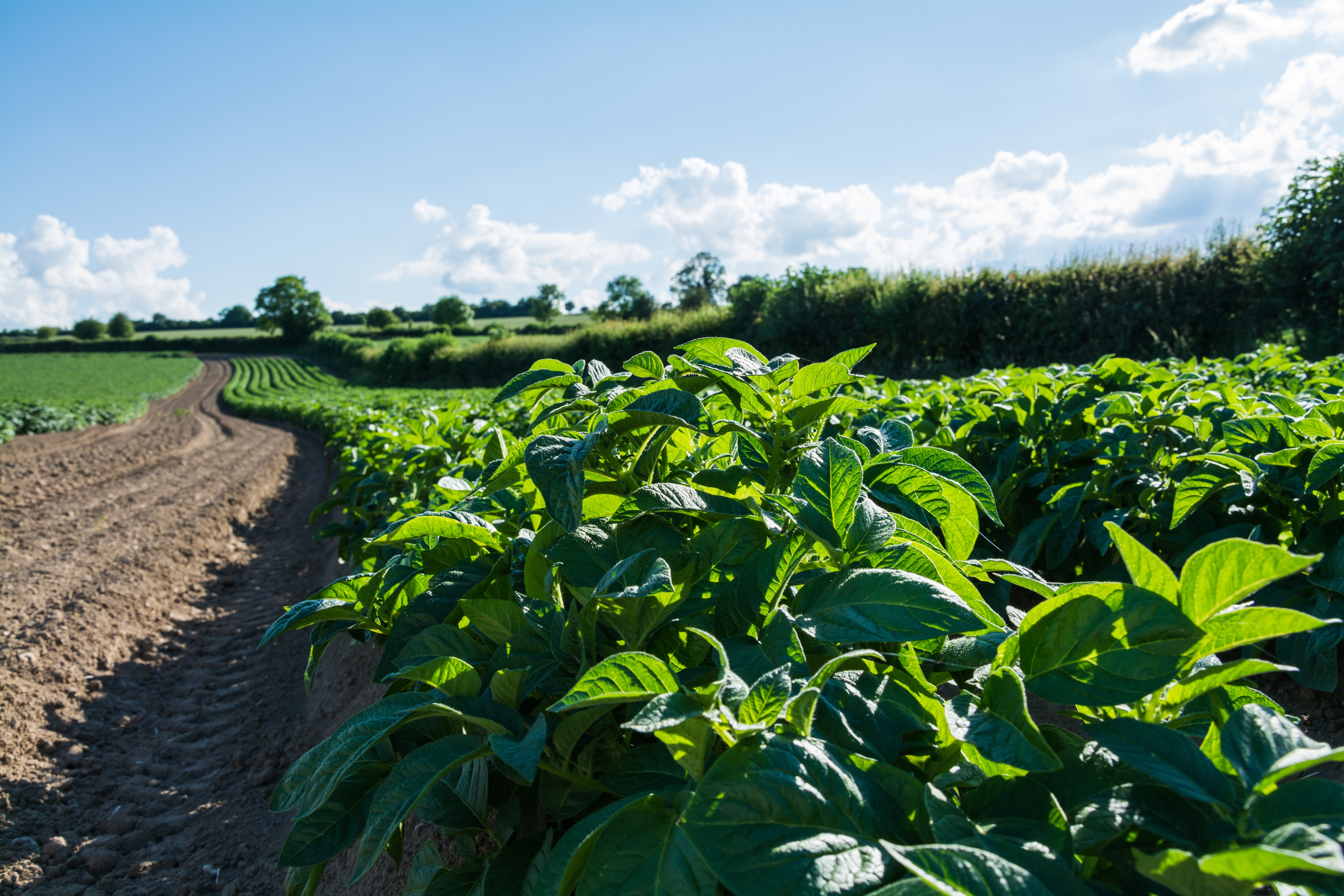 Shutterstock 2534884585