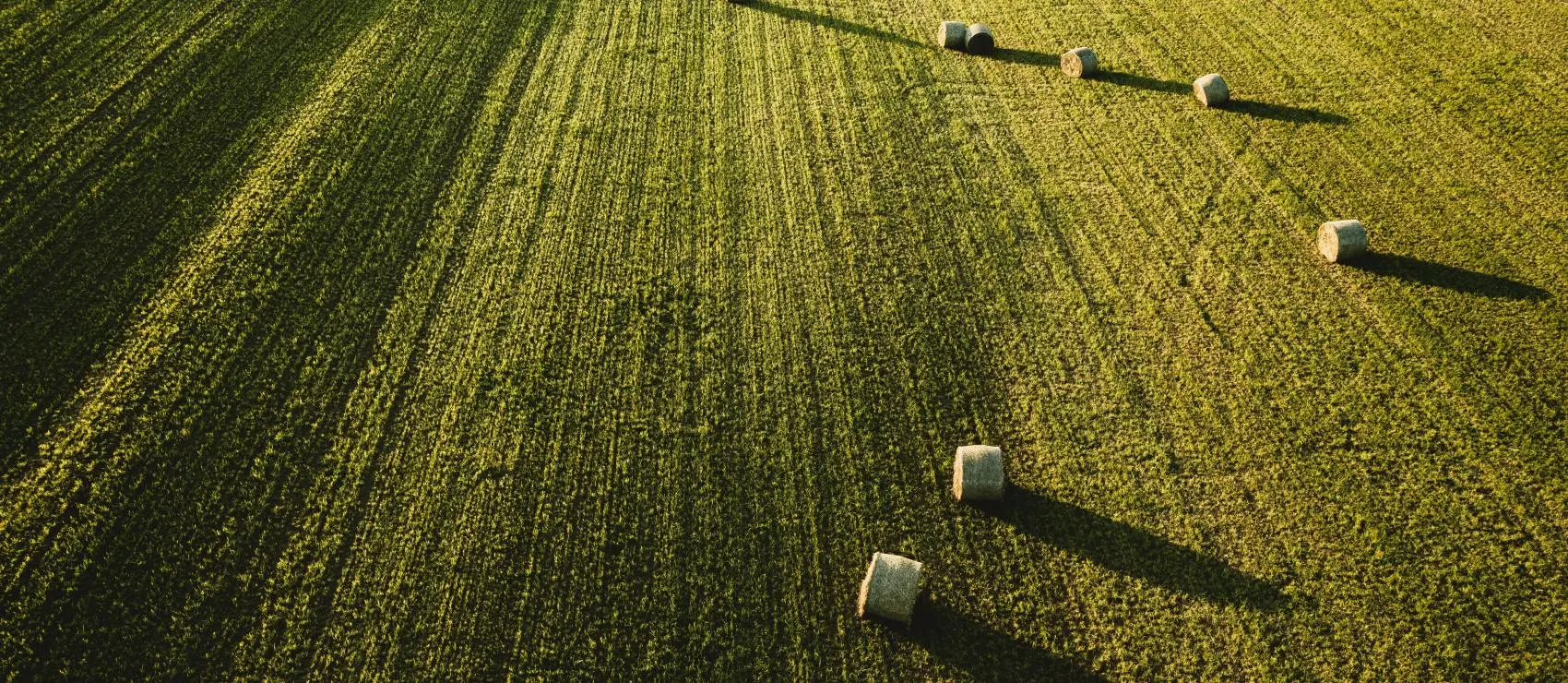 Cursus Scaldanext Verlenging Gewasbescherming Veiligheid En Techniek