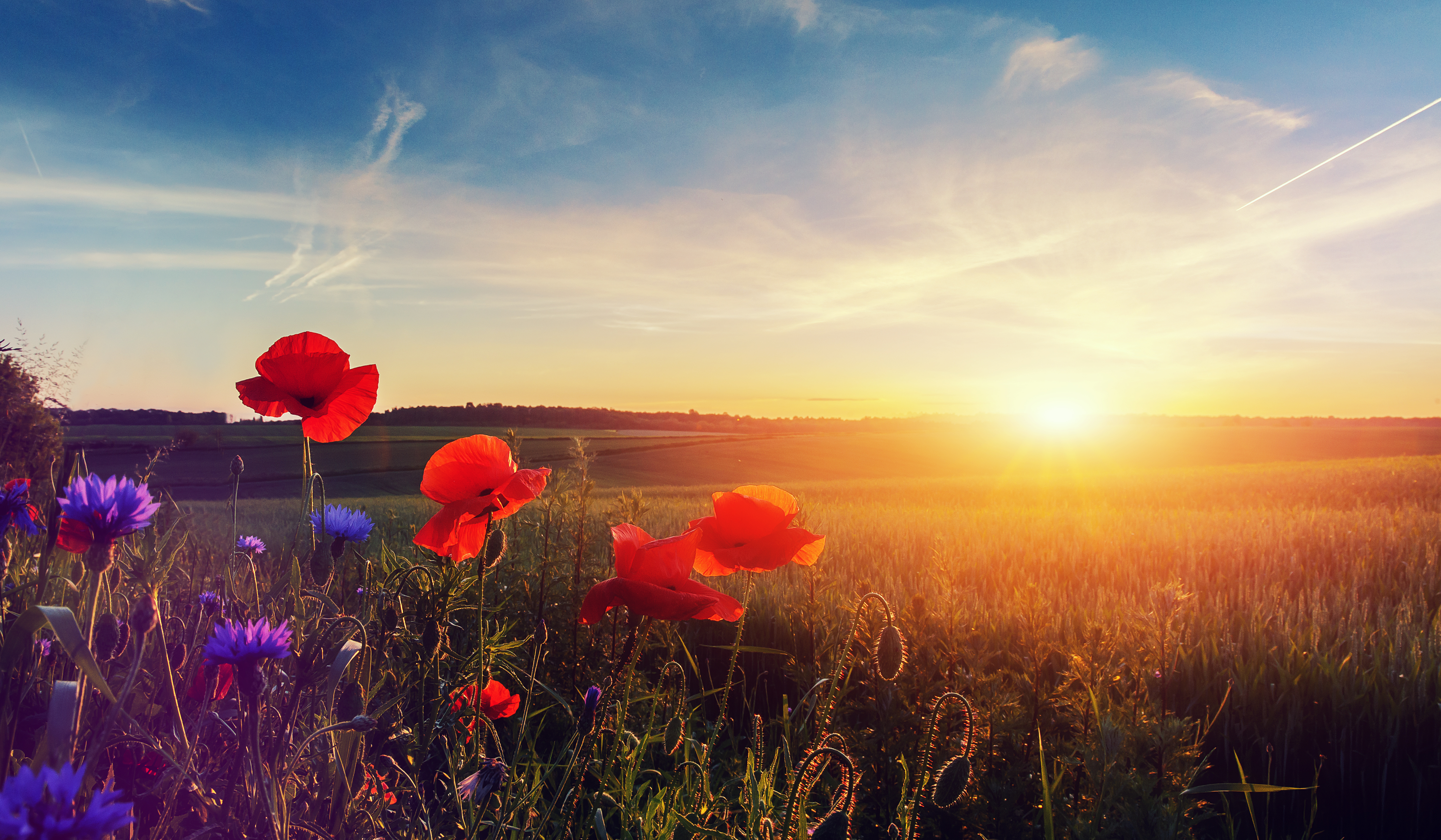 Shutterstock 1060889414