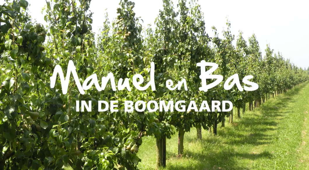 Schermafbeelding 2025 10 30 152259