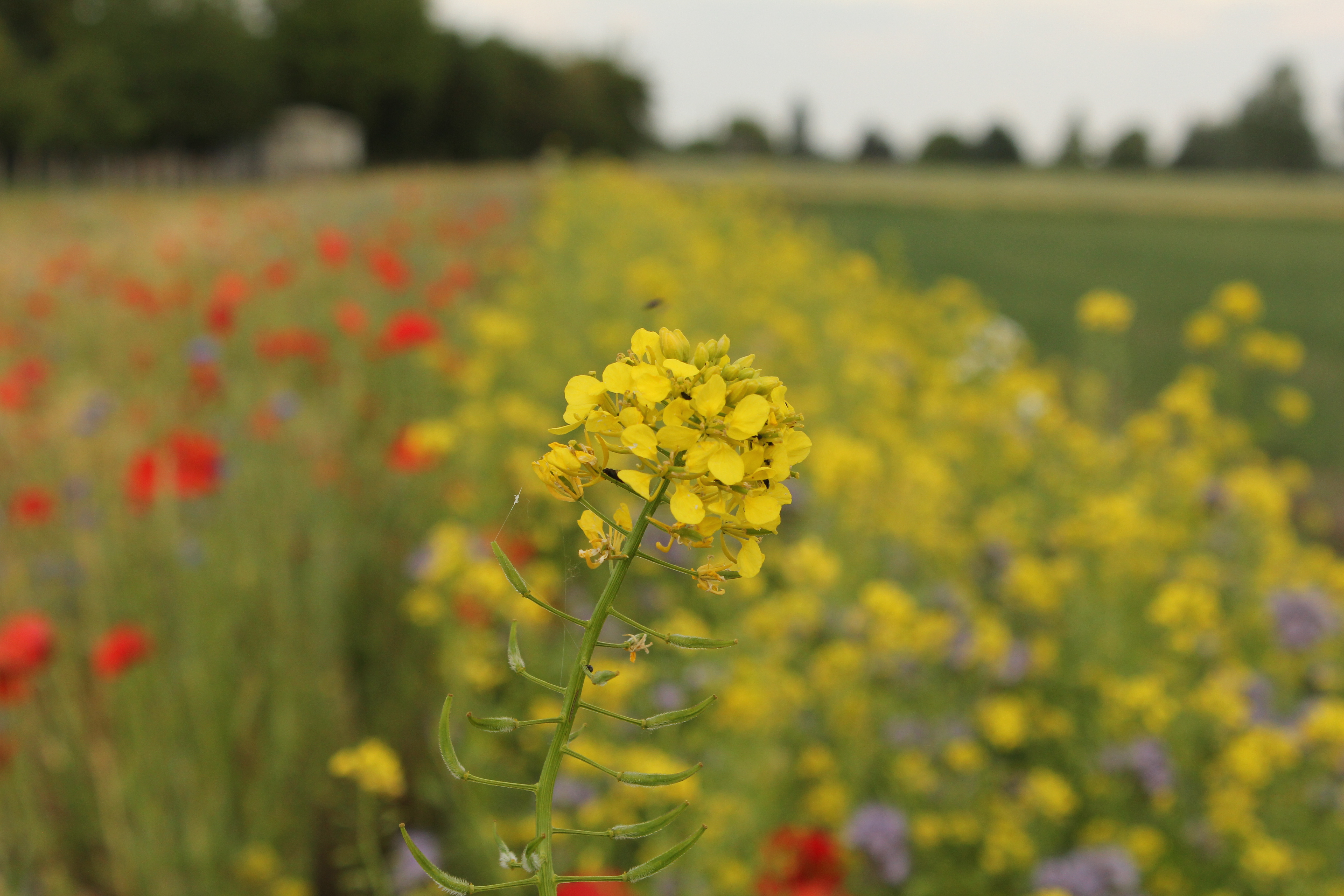 Shutterstock 1426345850