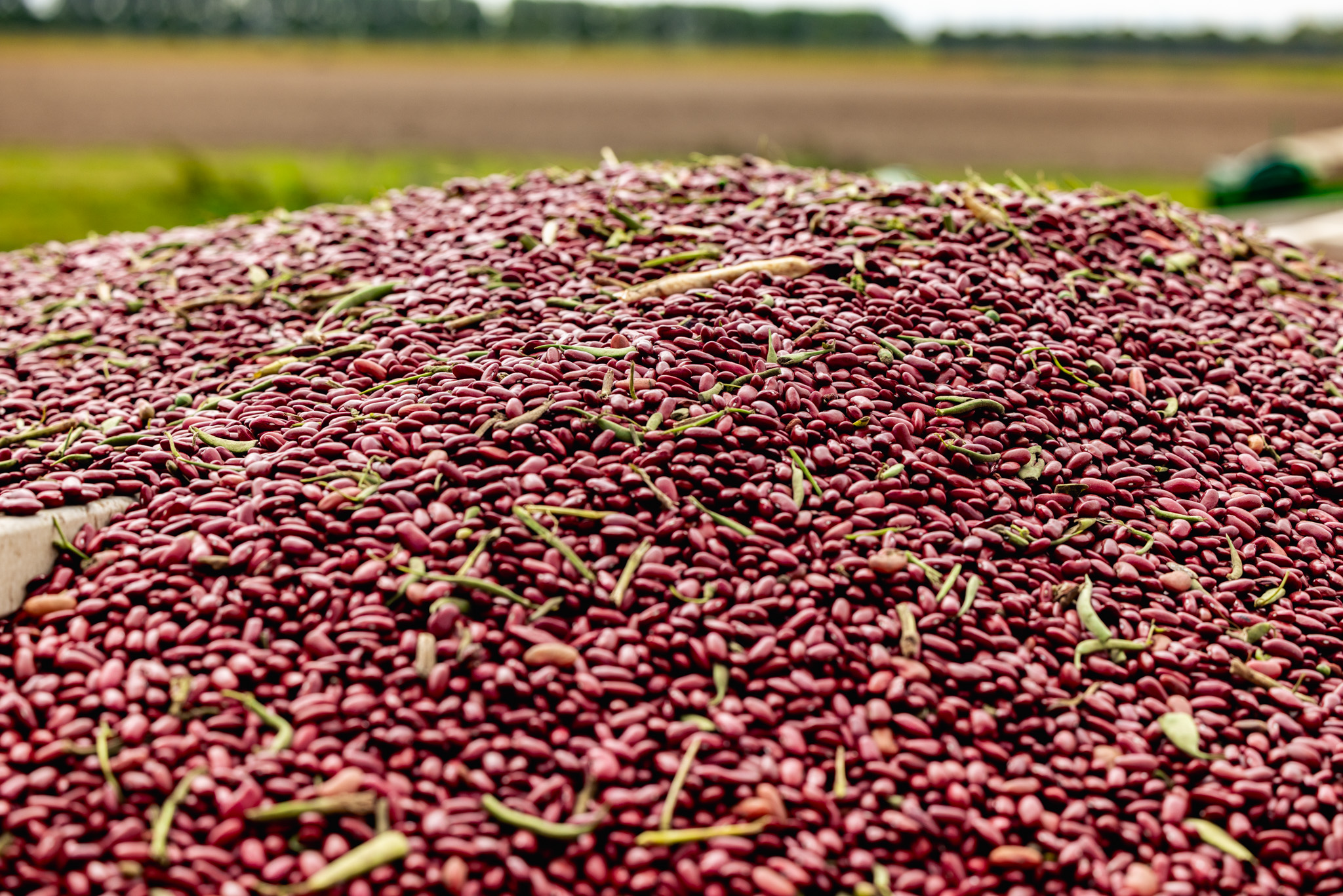 Reportage Aardappelen & Bonen 28