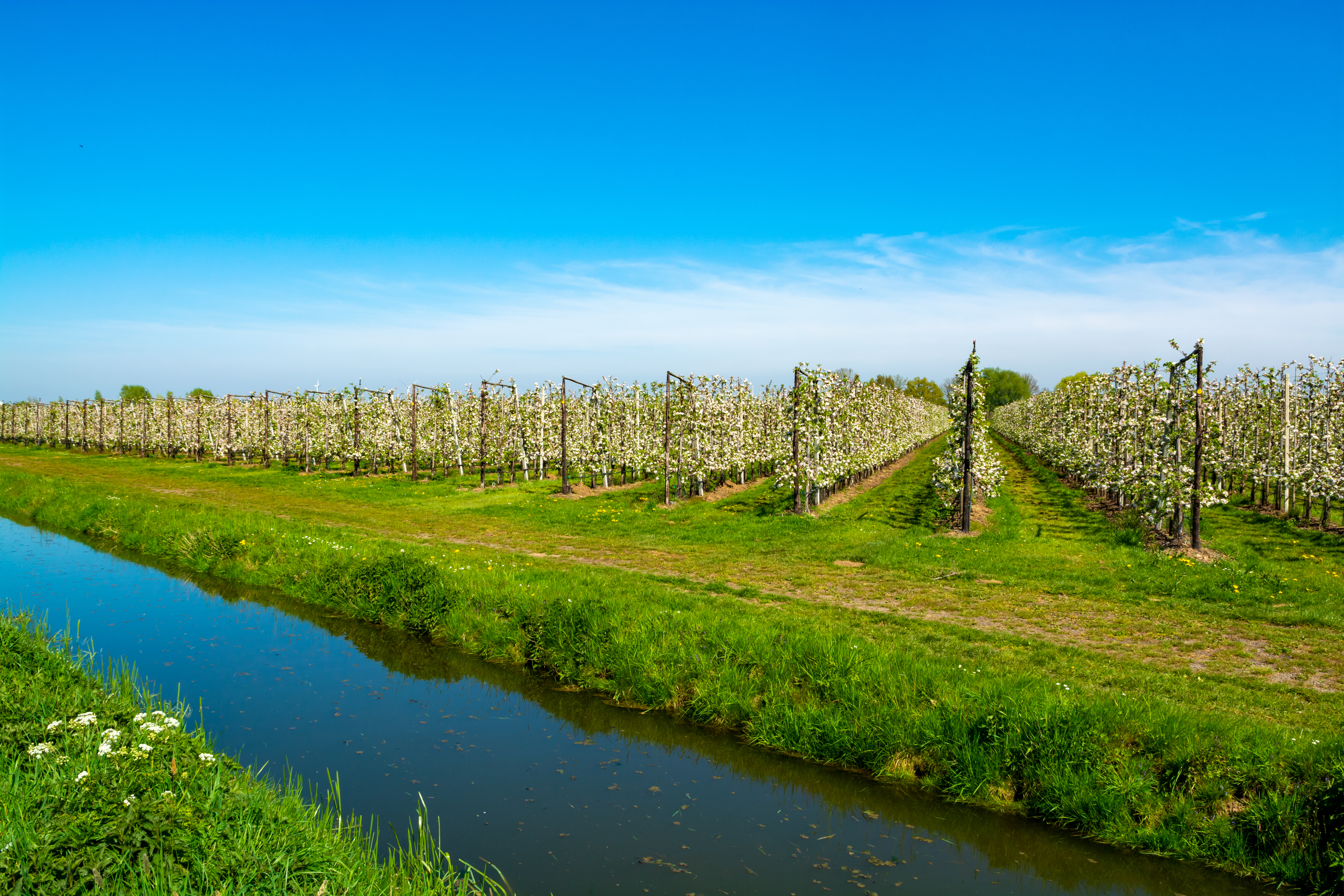 Shutterstock 1904970046