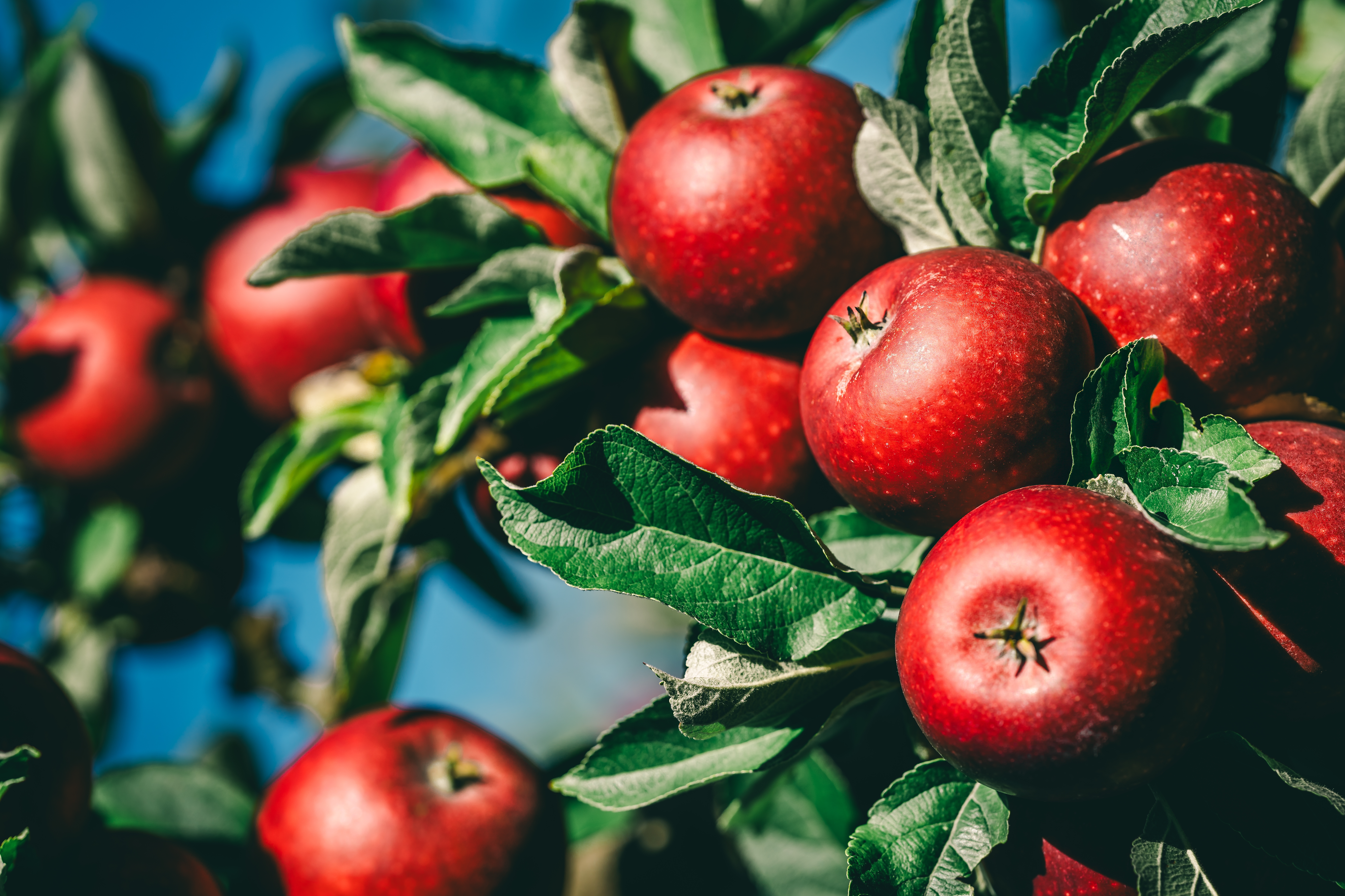 Shutterstock 2534492649