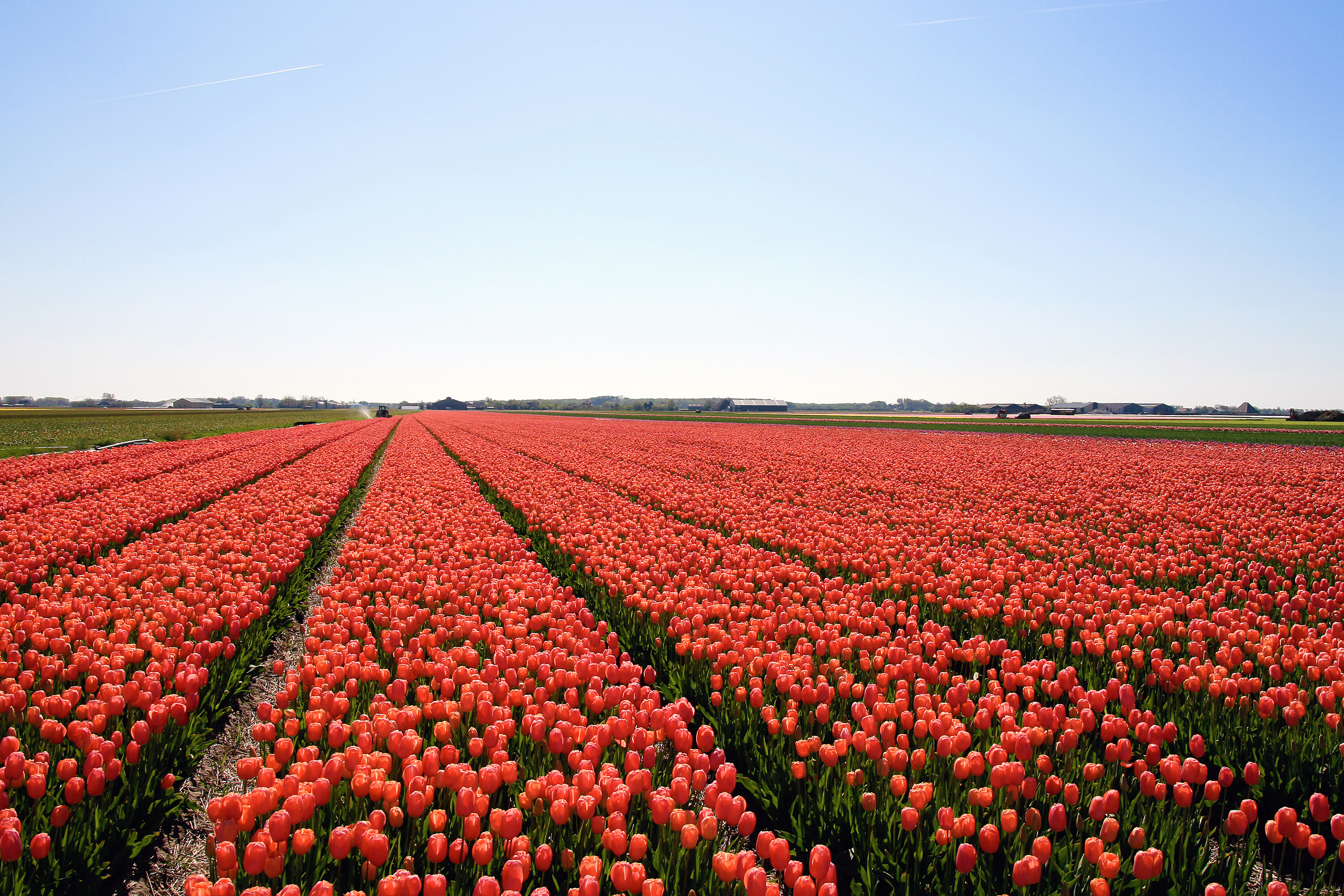 Shutterstock 588674432