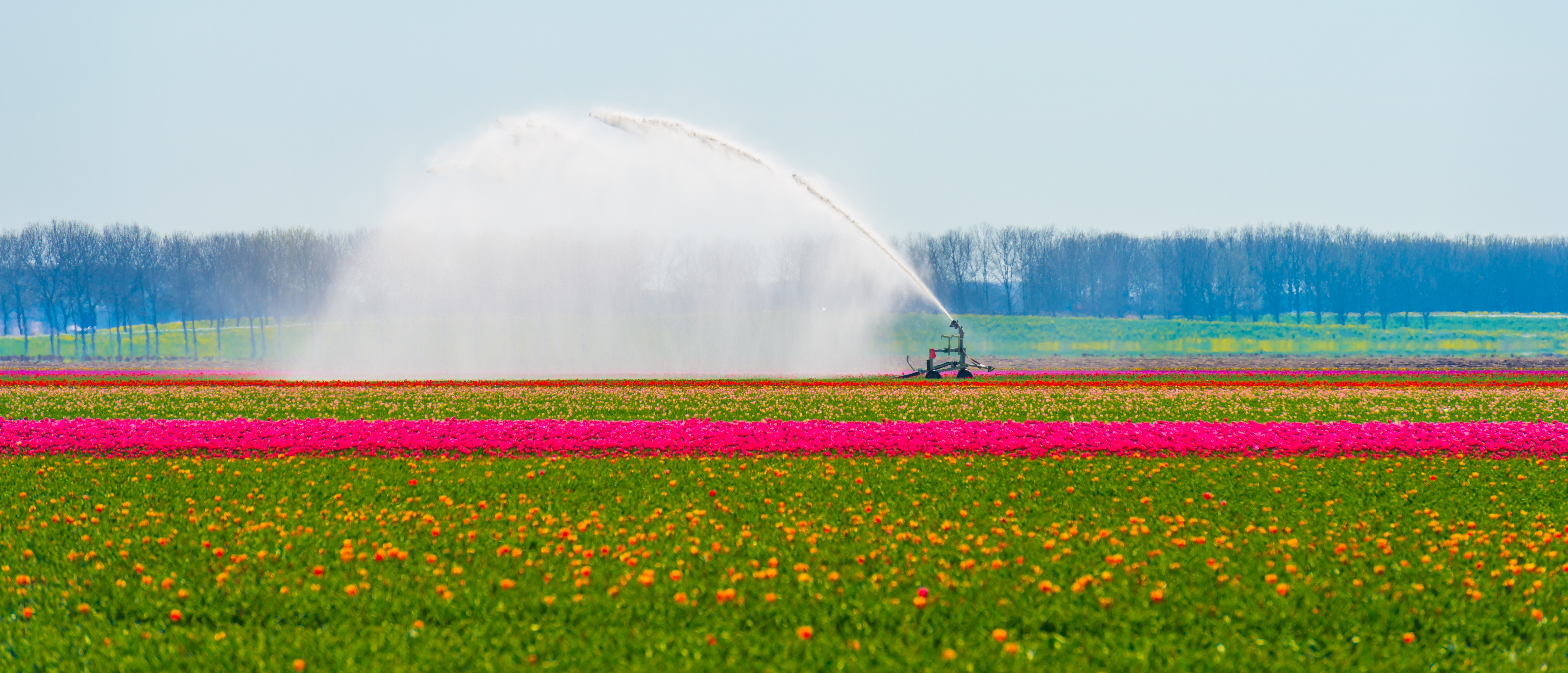 Shutterstock 2609528671