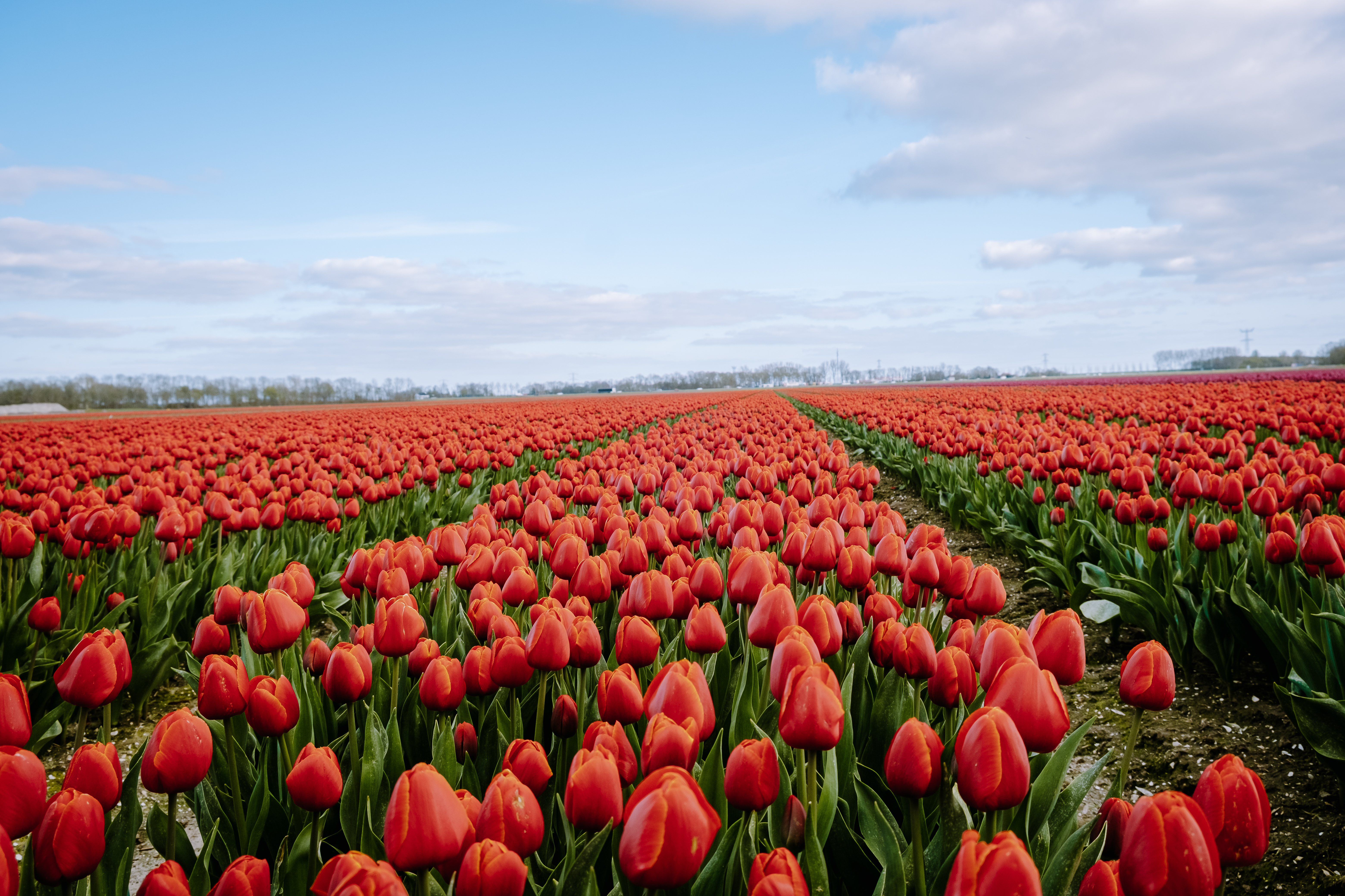Shutterstock 1965934138