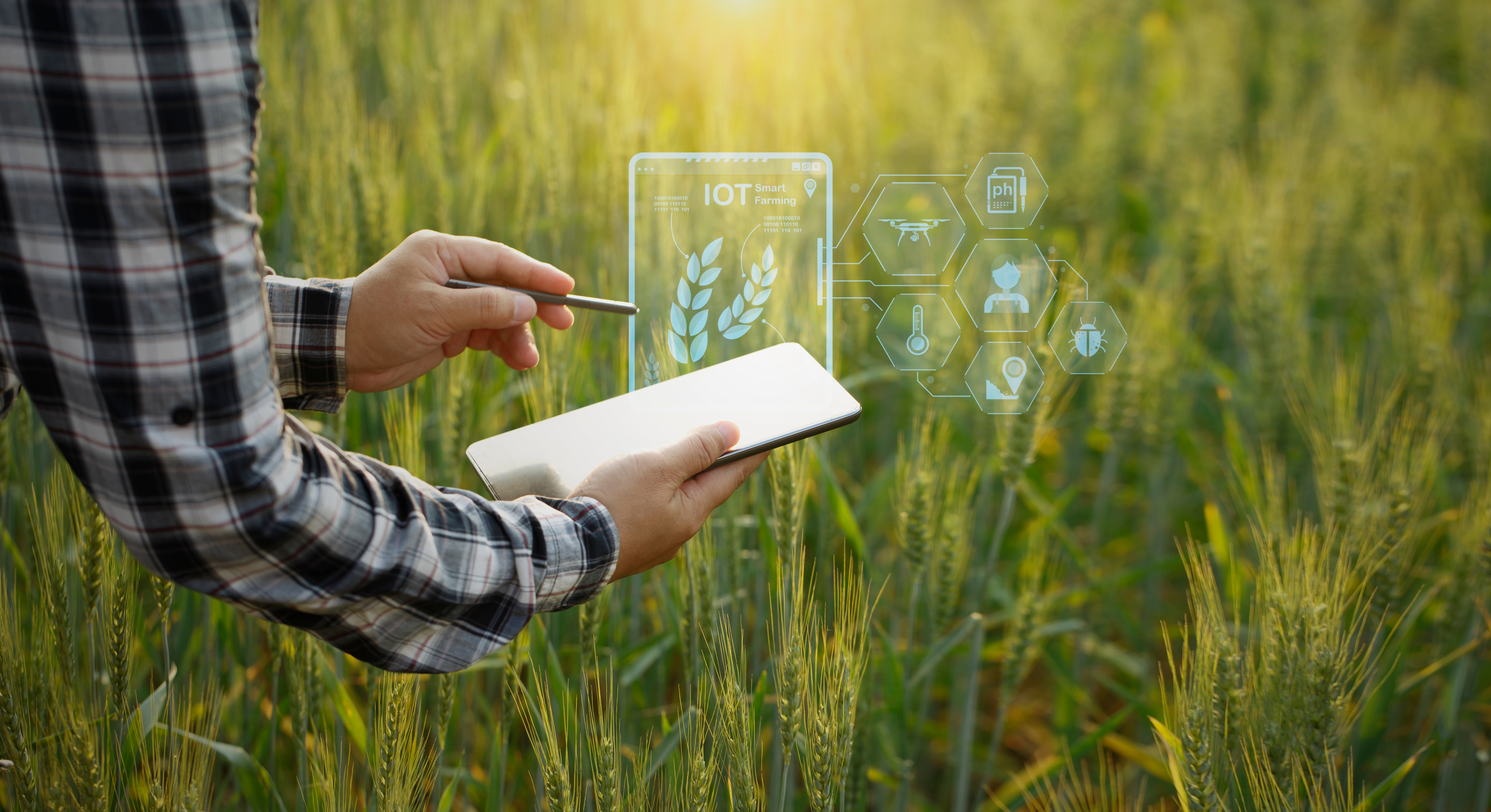 Shutterstock 2221361935