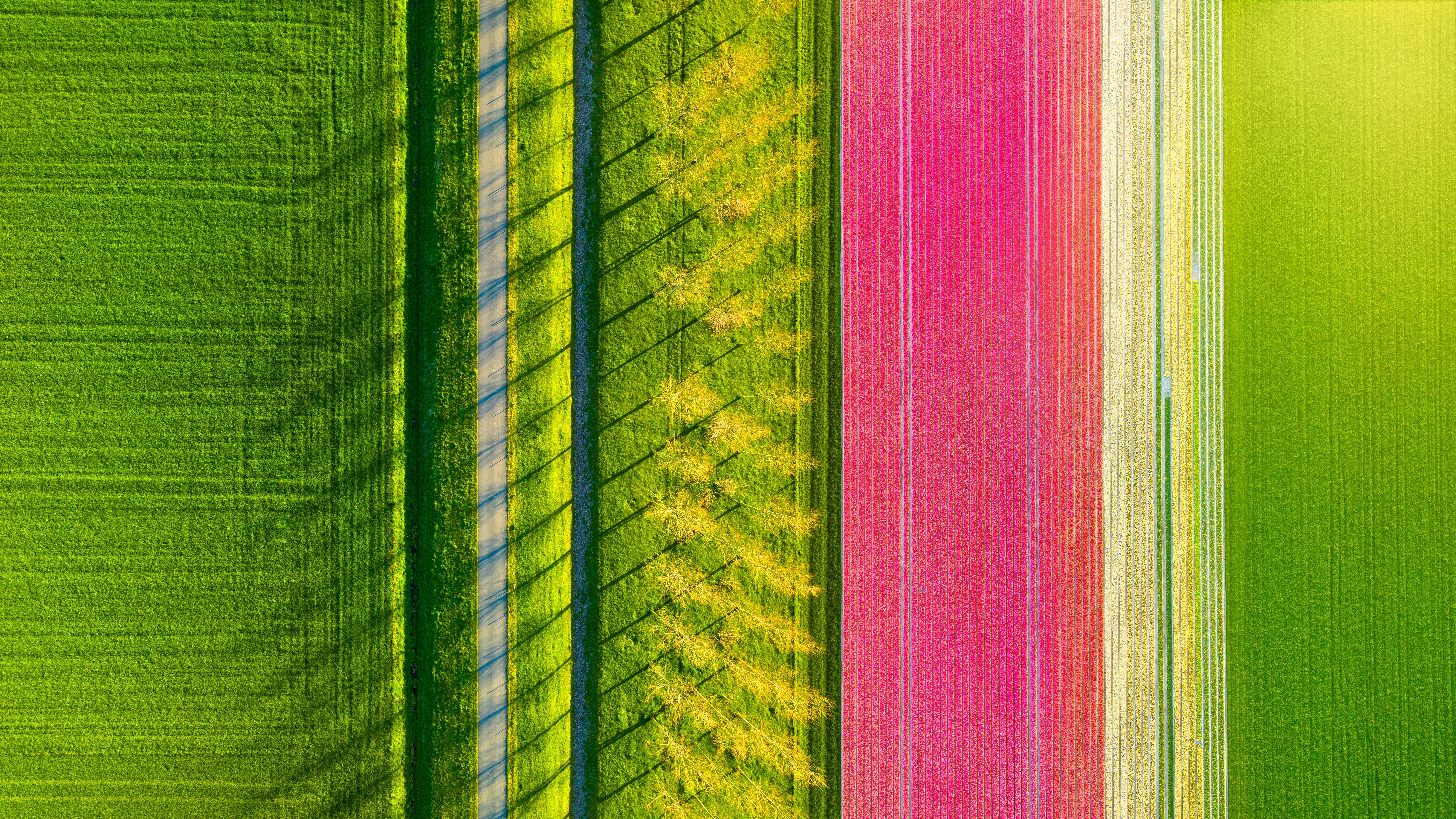 Shutterstock 2593764349