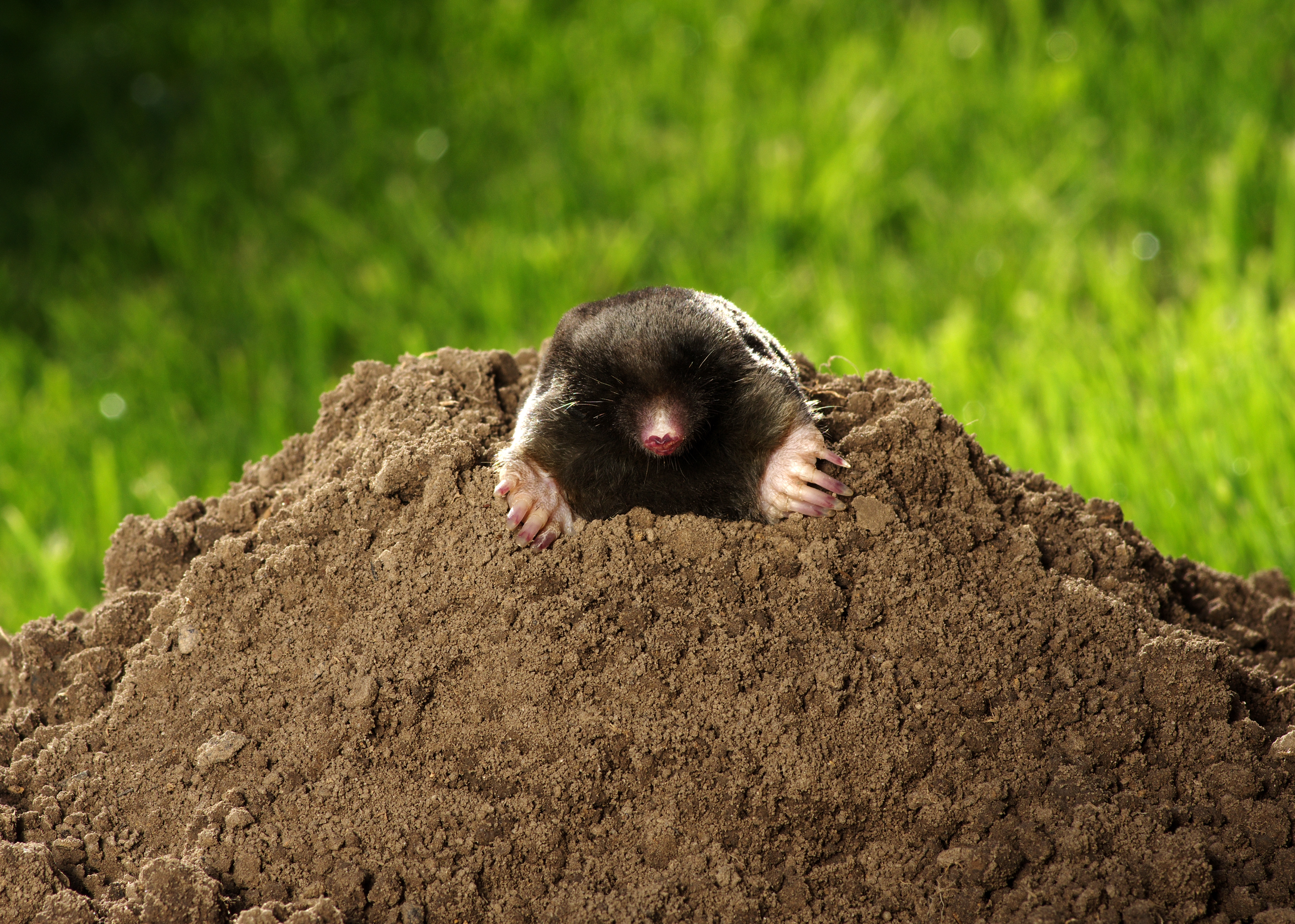 Shutterstock 2206979413