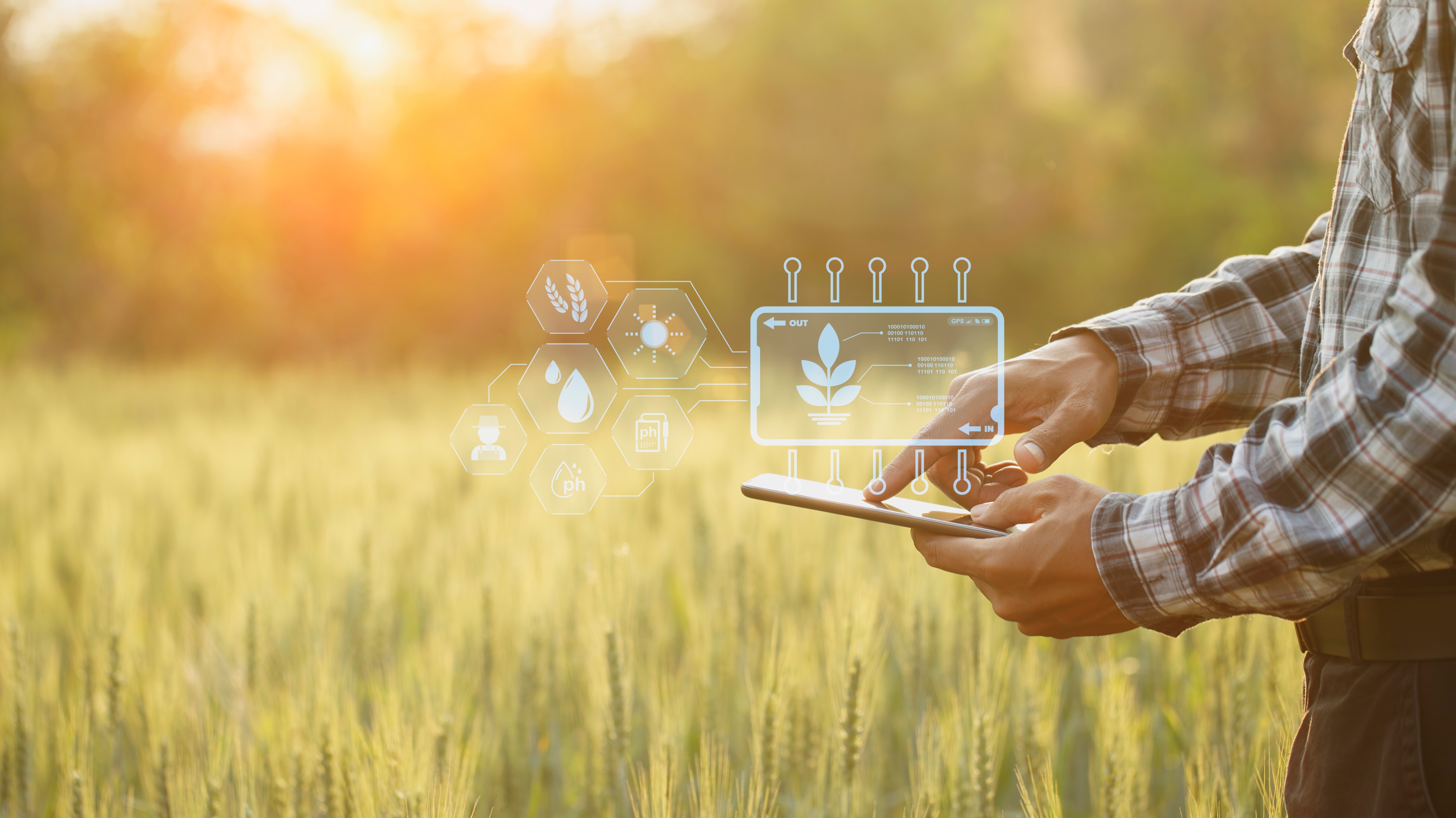 Shutterstock 2230378113