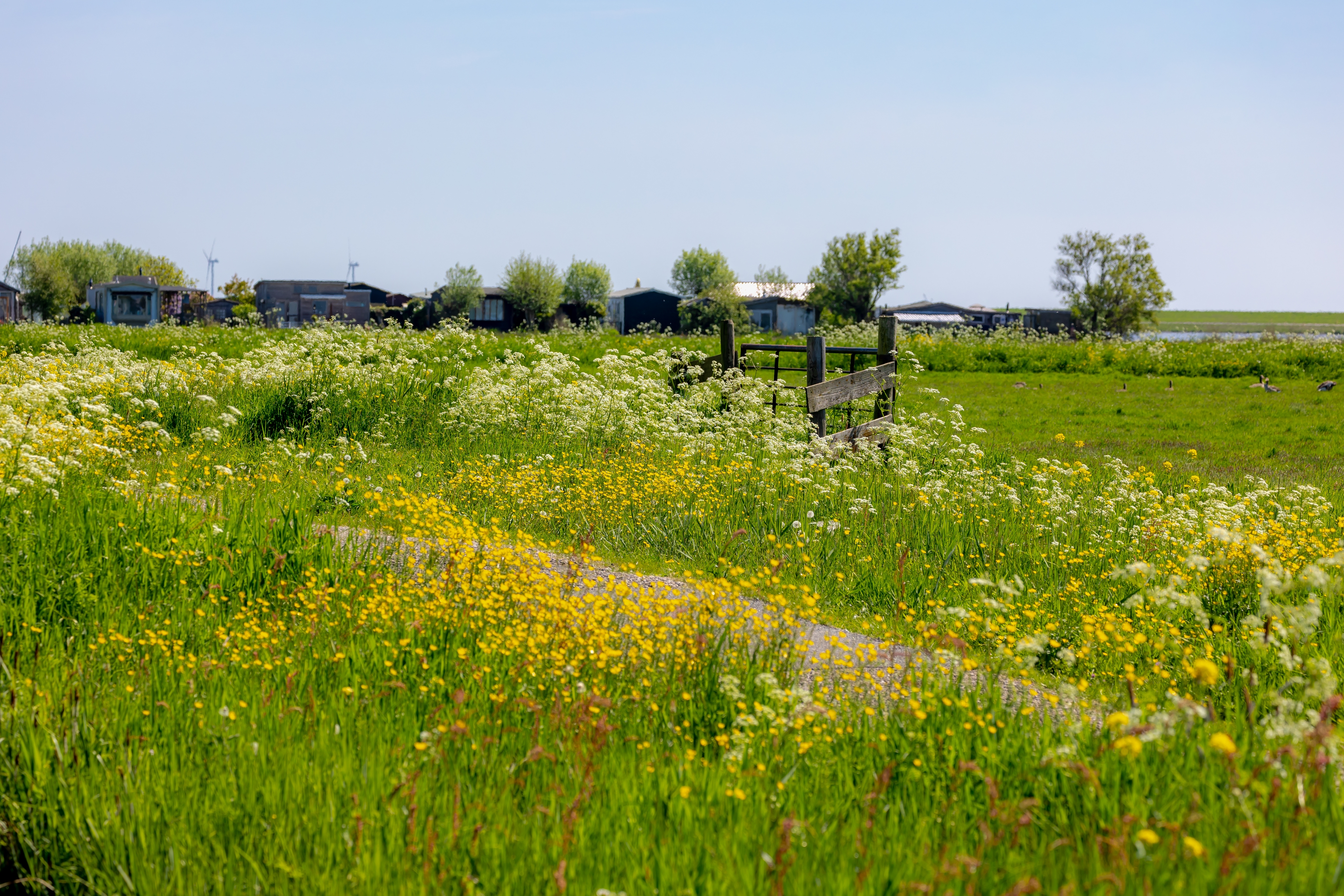 Shutterstock 2627929895