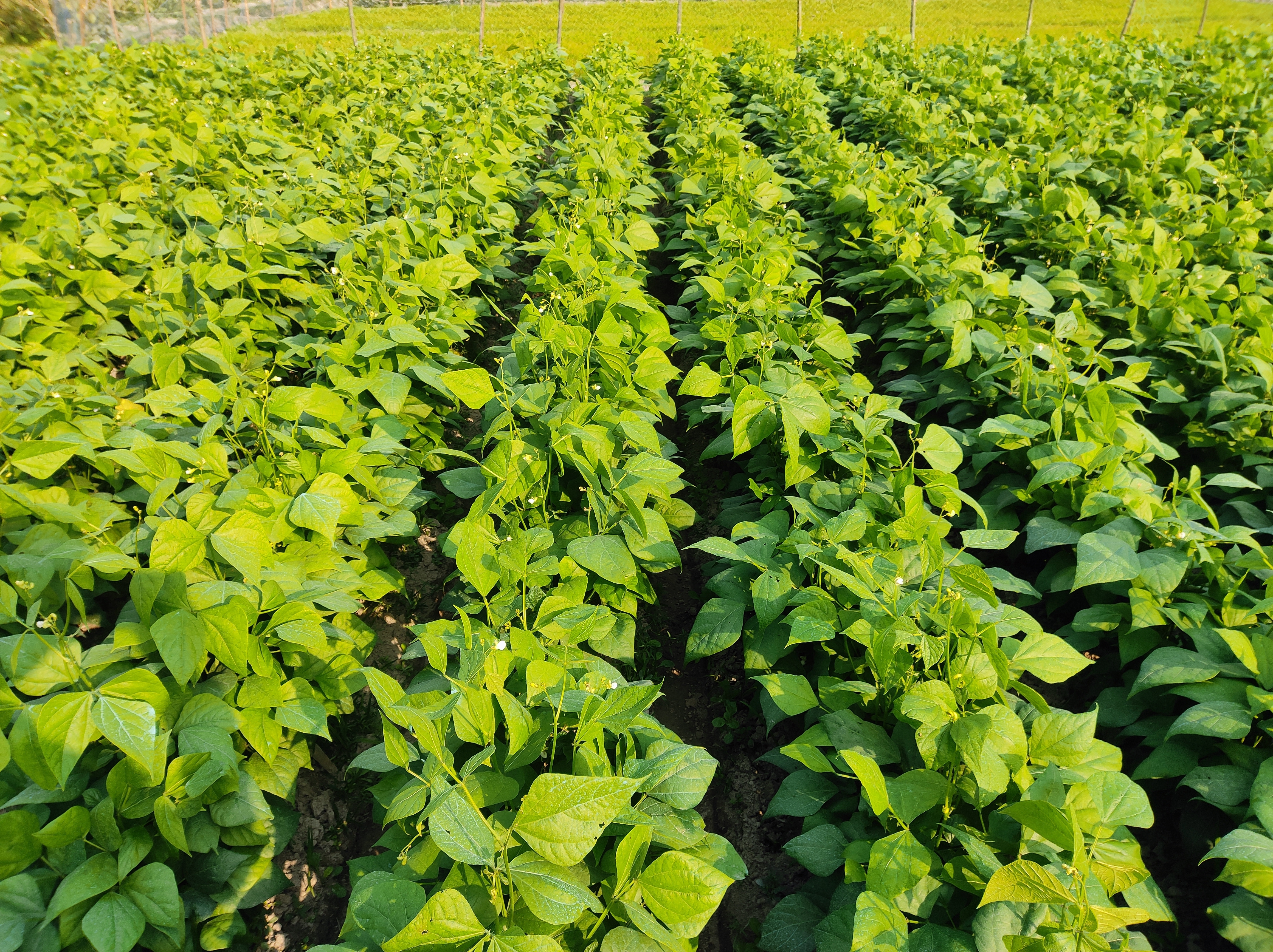 Shutterstock 2588433115