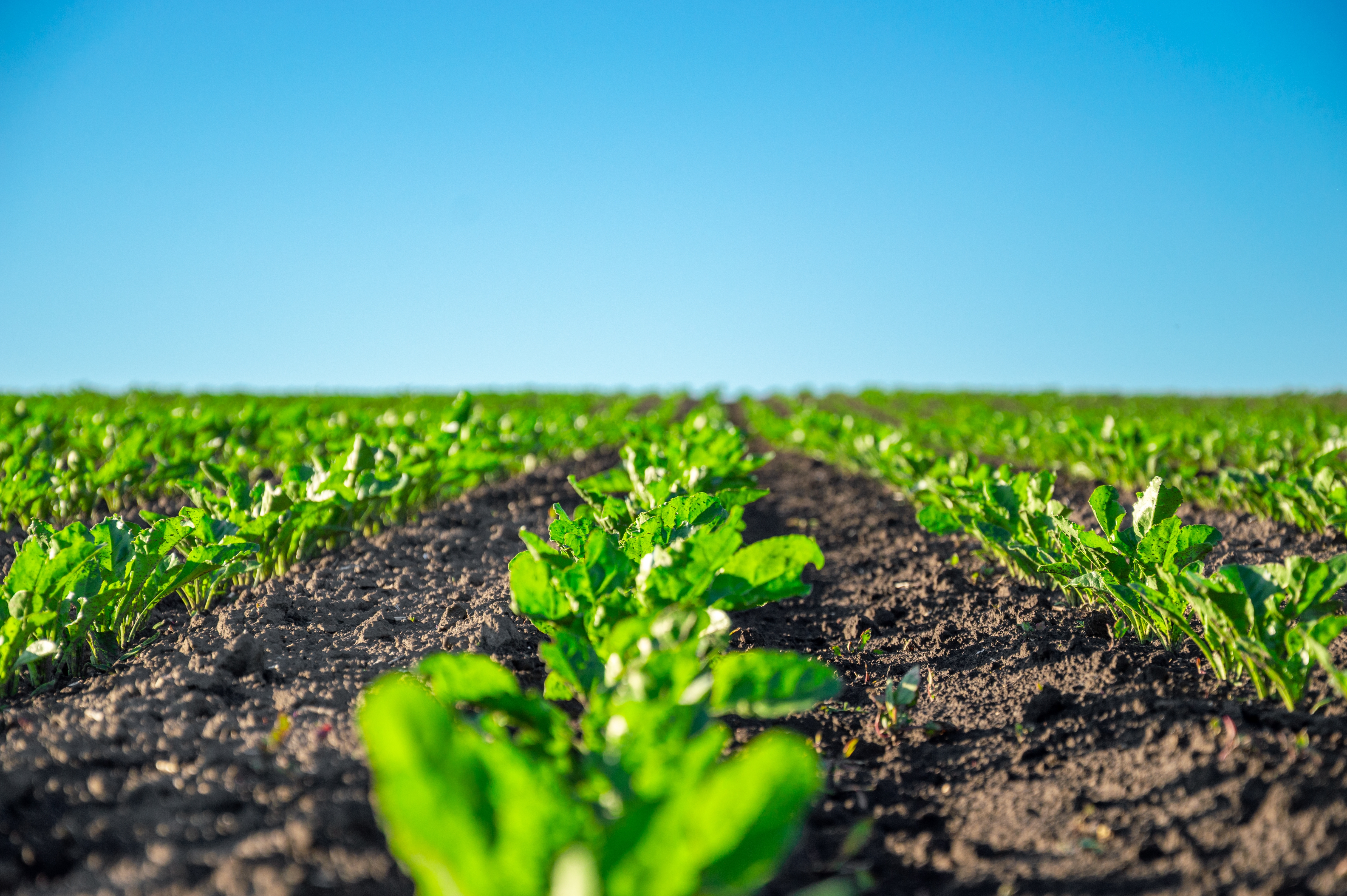 Shutterstock 2636158433