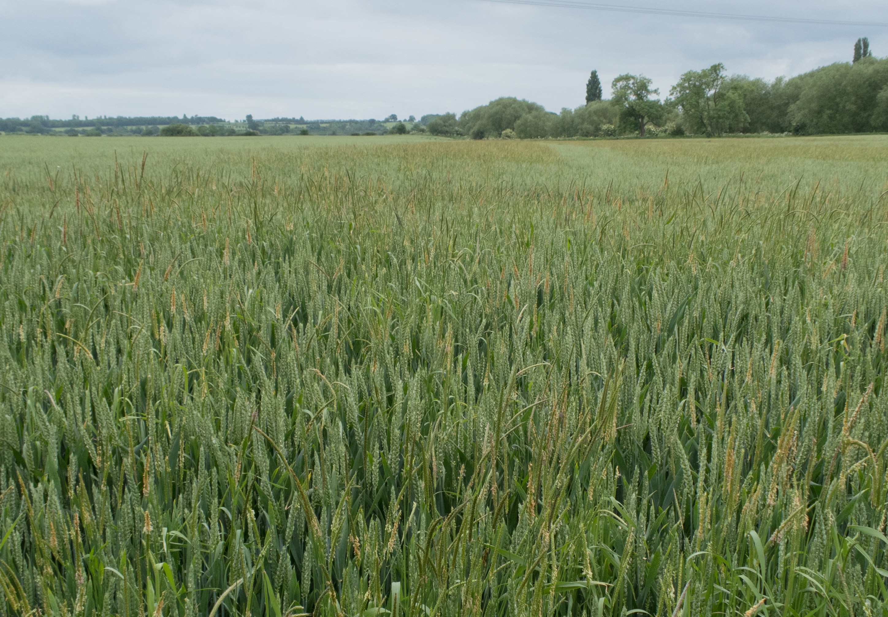 2055A029 E39d F011 B41c 6045Bd8b8481