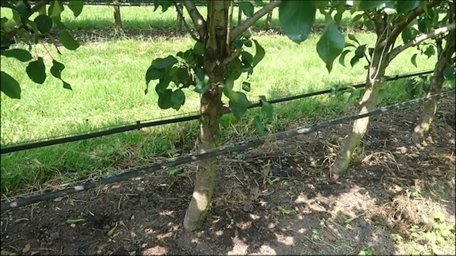 Dubbele Fertigatieslangen