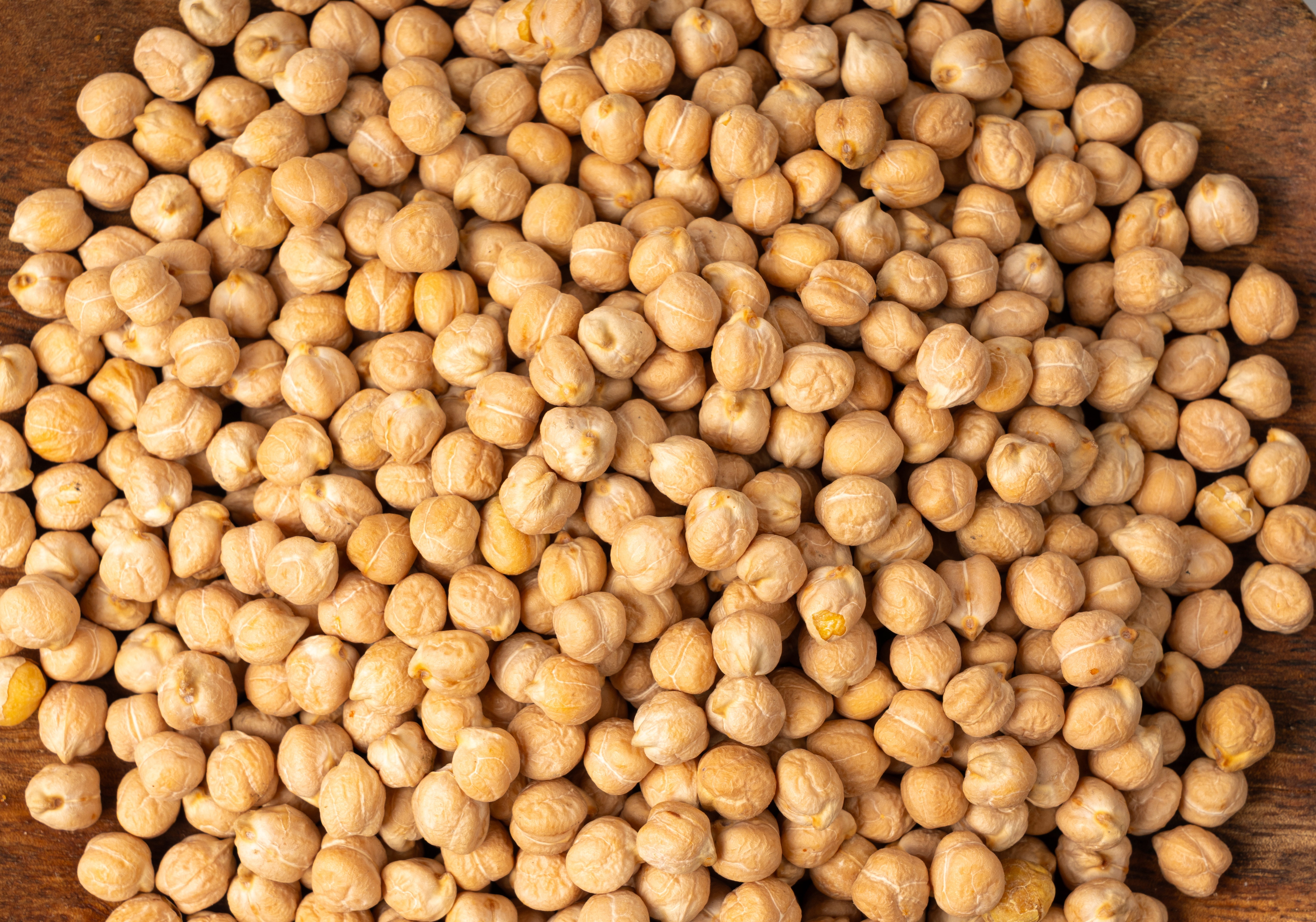 Shutterstock 2602203943