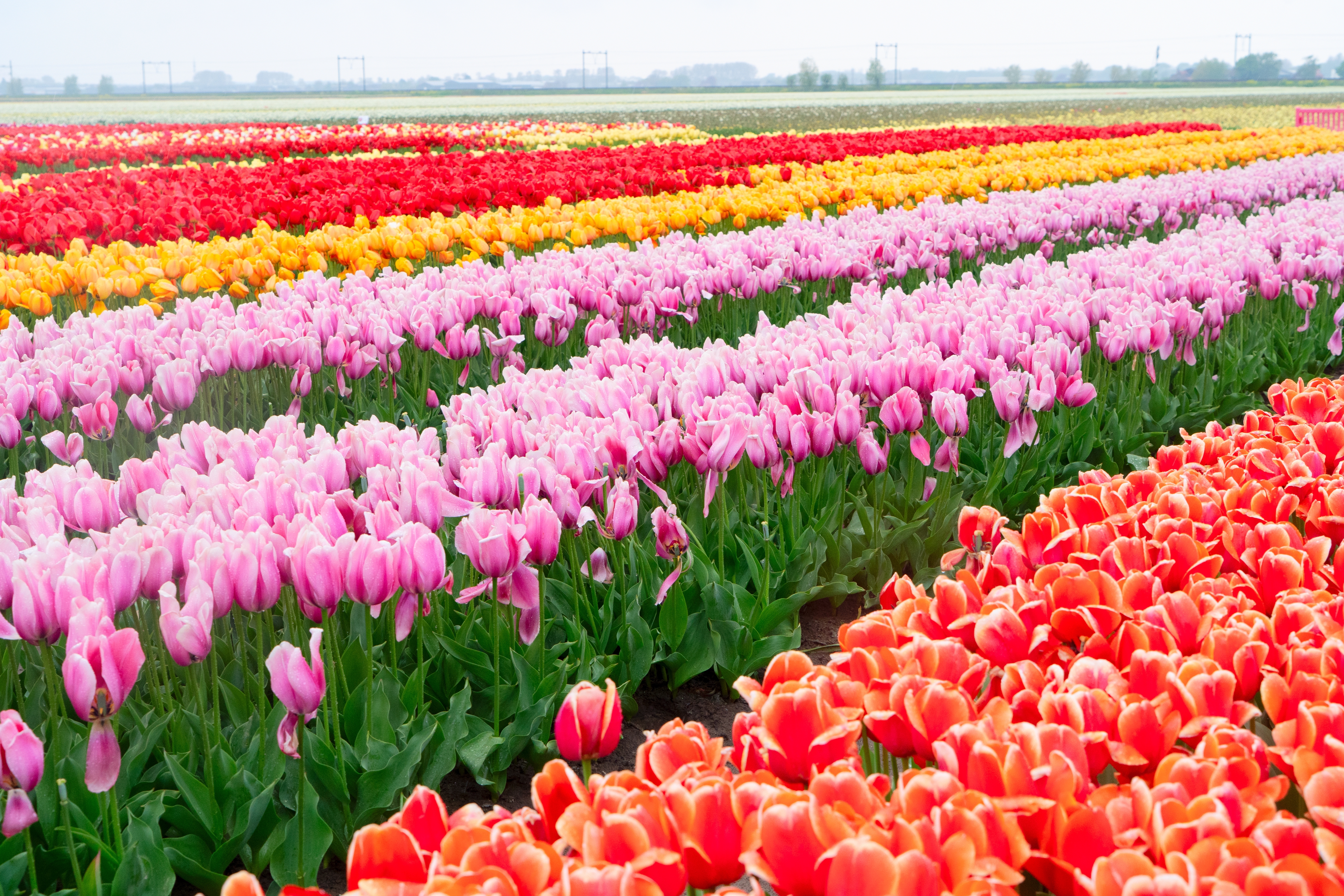 Shutterstock 2679675407