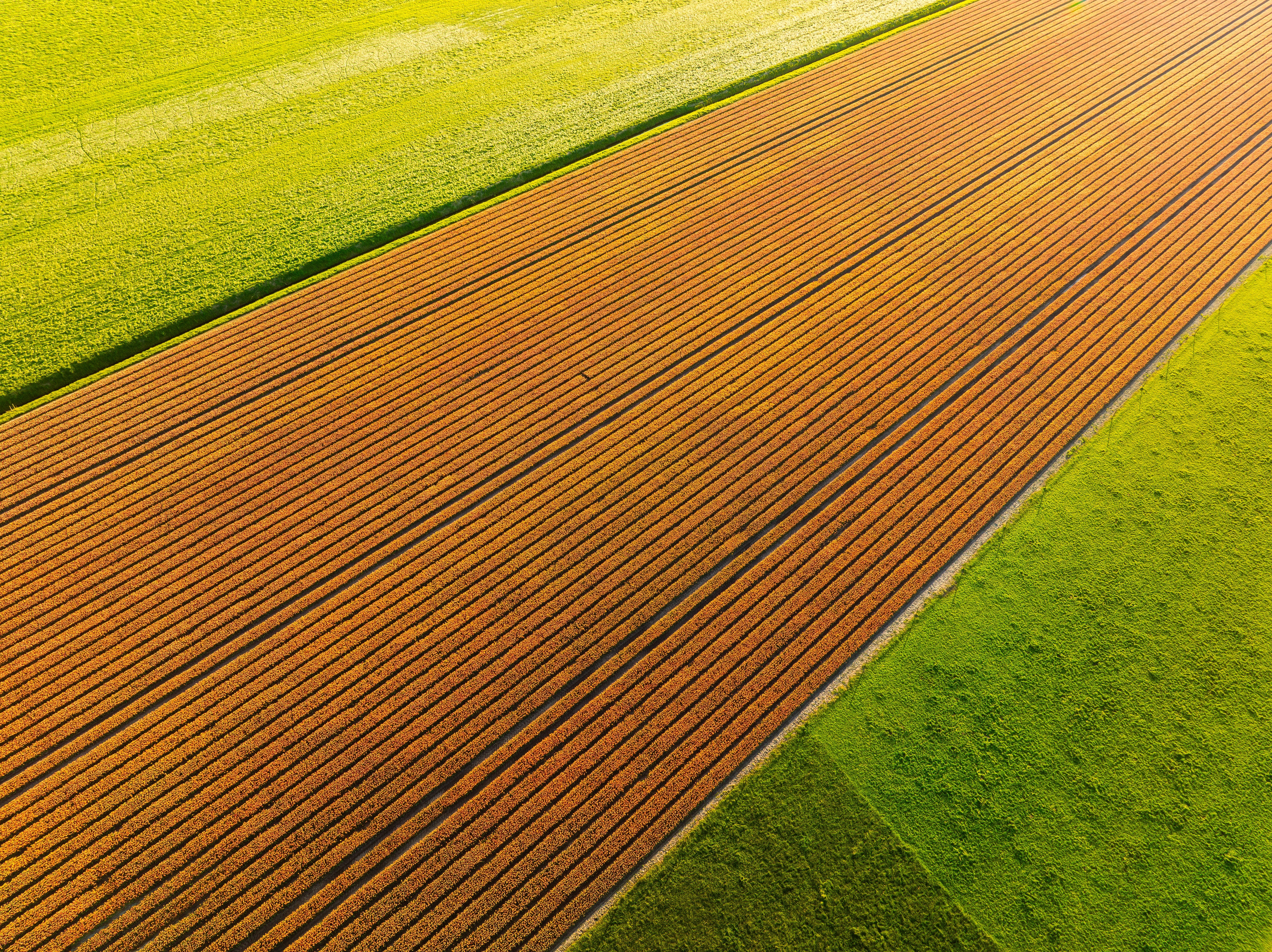 Shutterstock 2466598903