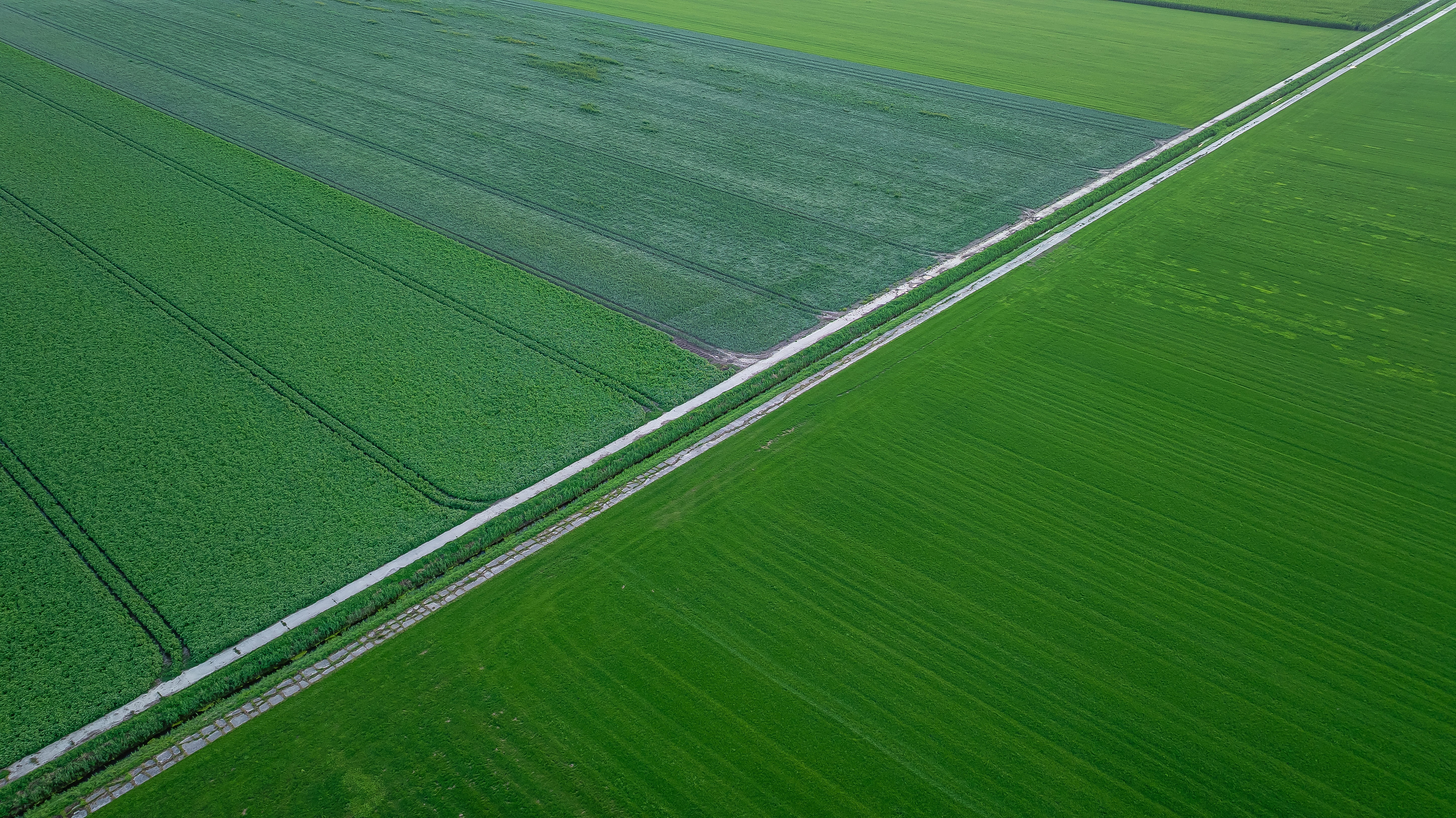 Shutterstock 2683331583