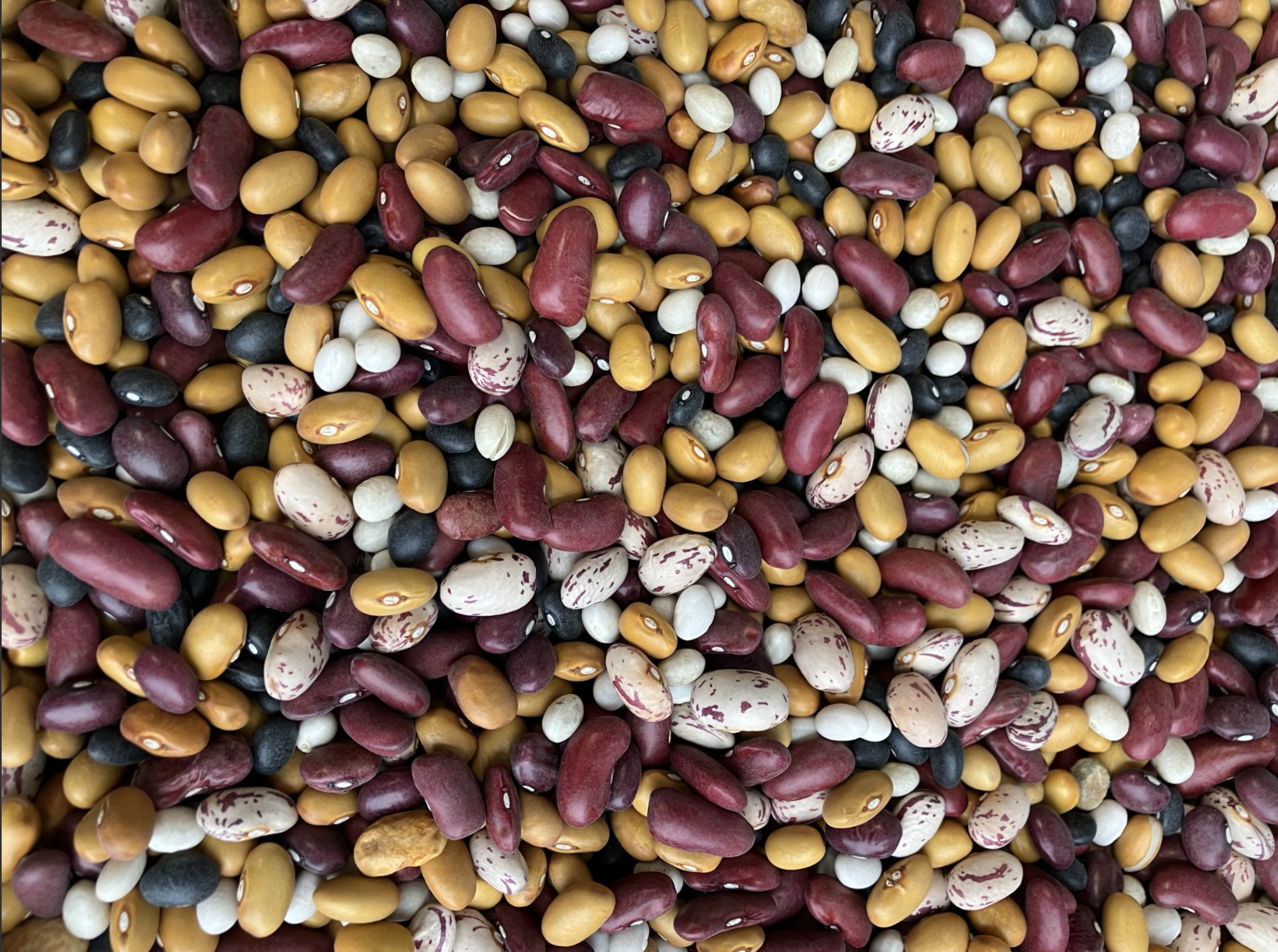 Schermafbeelding 2025 09 17 111748