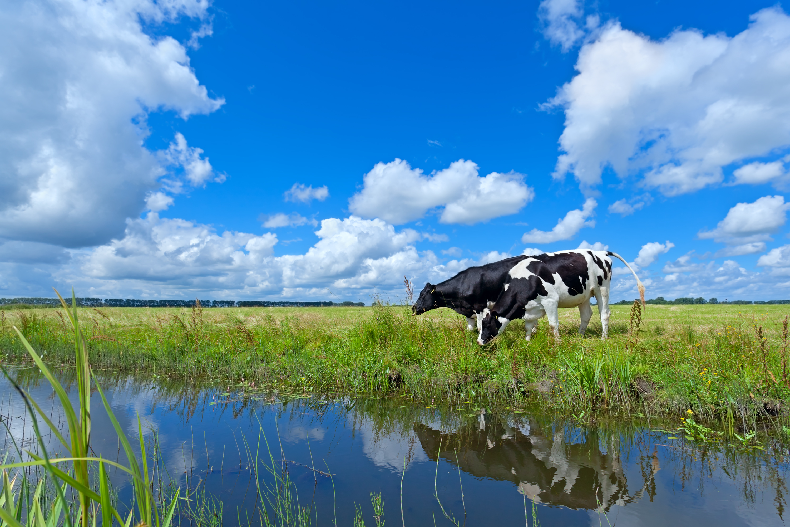 Shutterstock 202896388