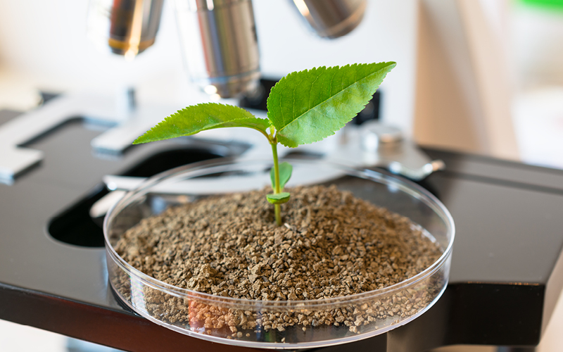 Agrotheek Rubriek Diensten Grond Plant Analyse