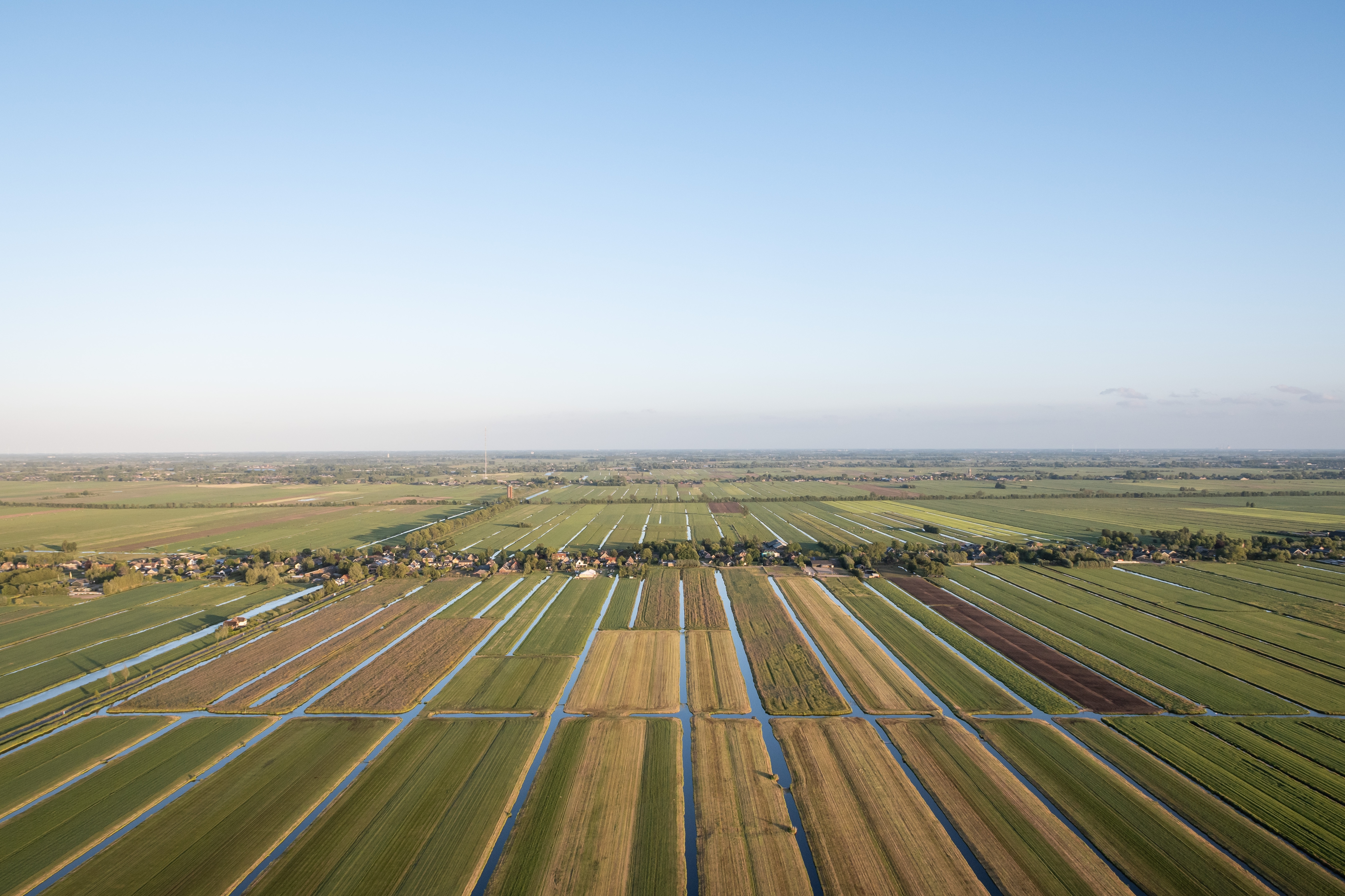 Shutterstock 2672333653