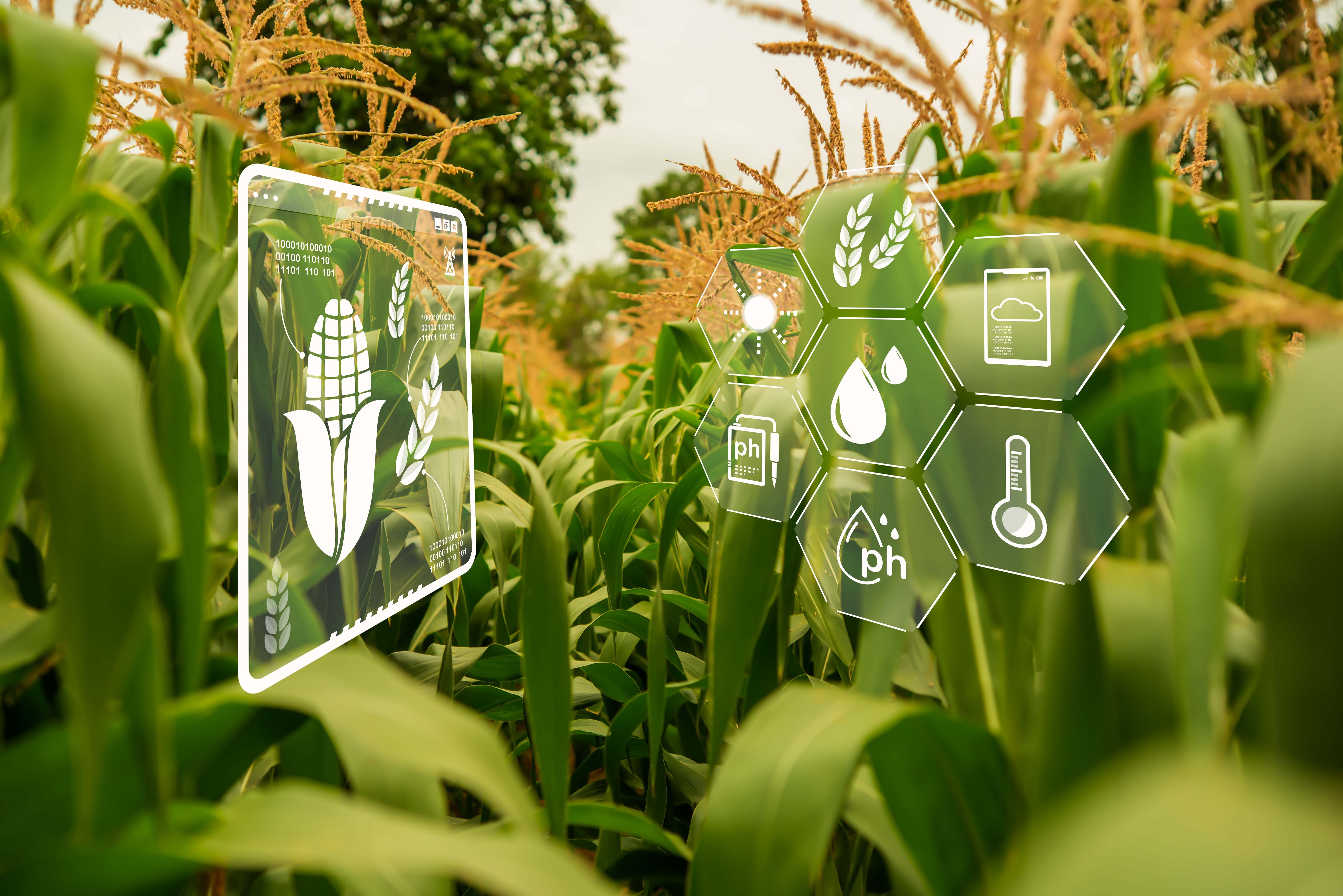 Shutterstock 2358768095